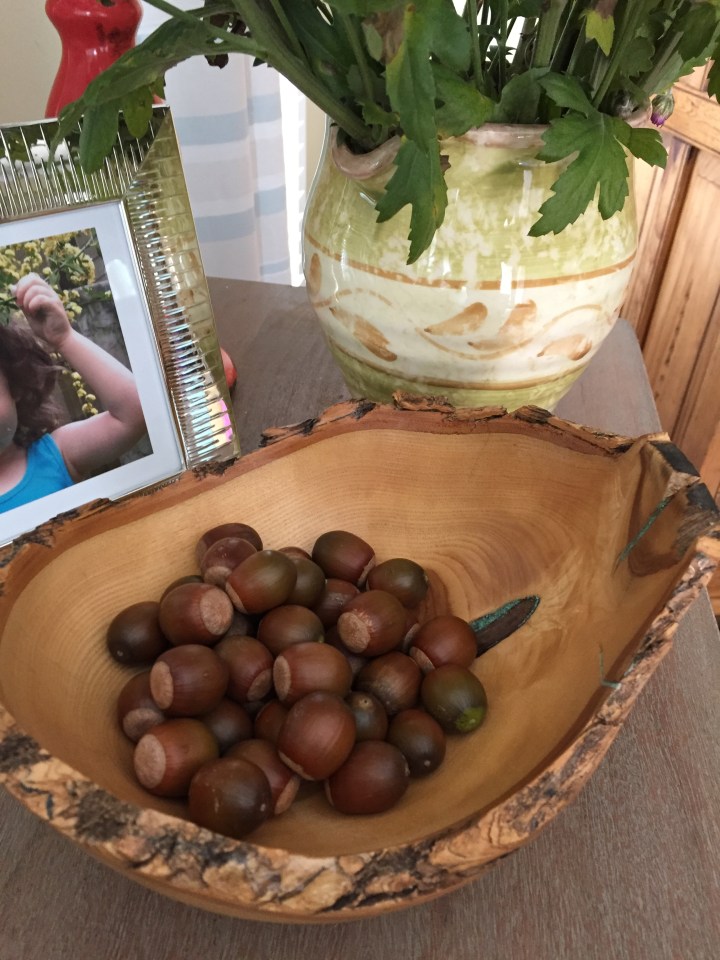 Acorns in a bowl accent piece