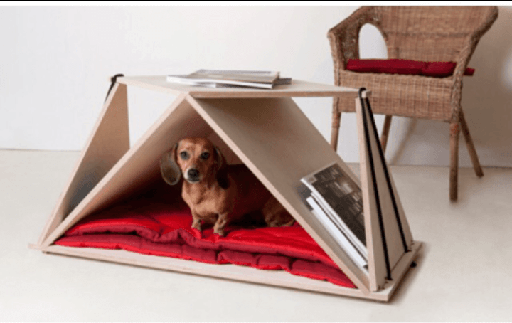 Pet coffee table by Nidin