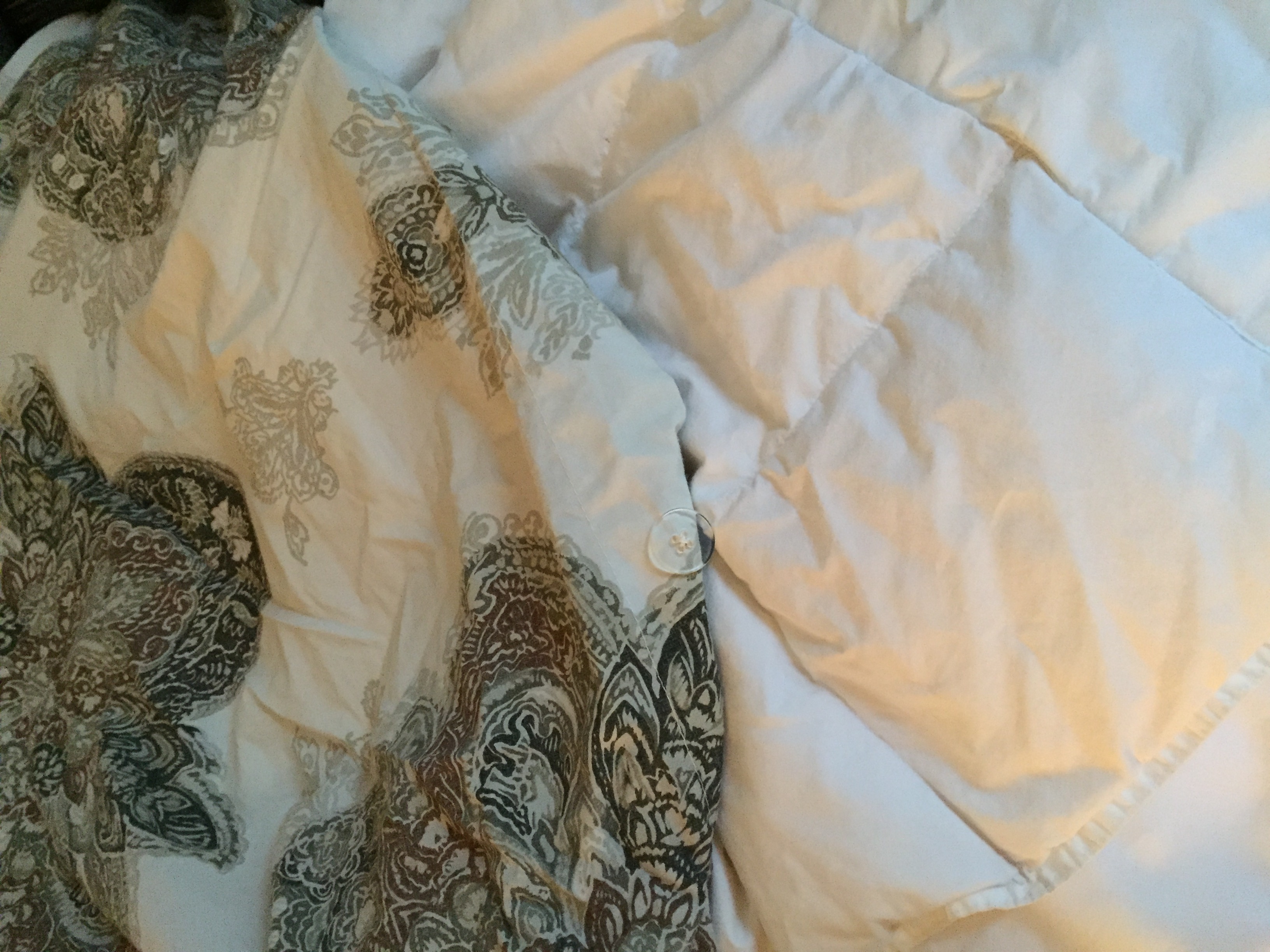 Down Comforter in a duvet.