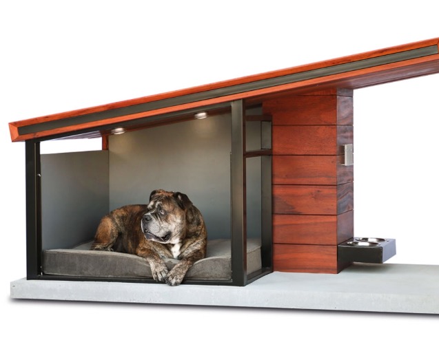 The Canine's Passive Solar Condominium