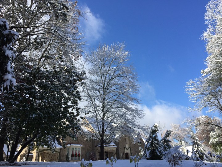 Reindeer Christmas yard display