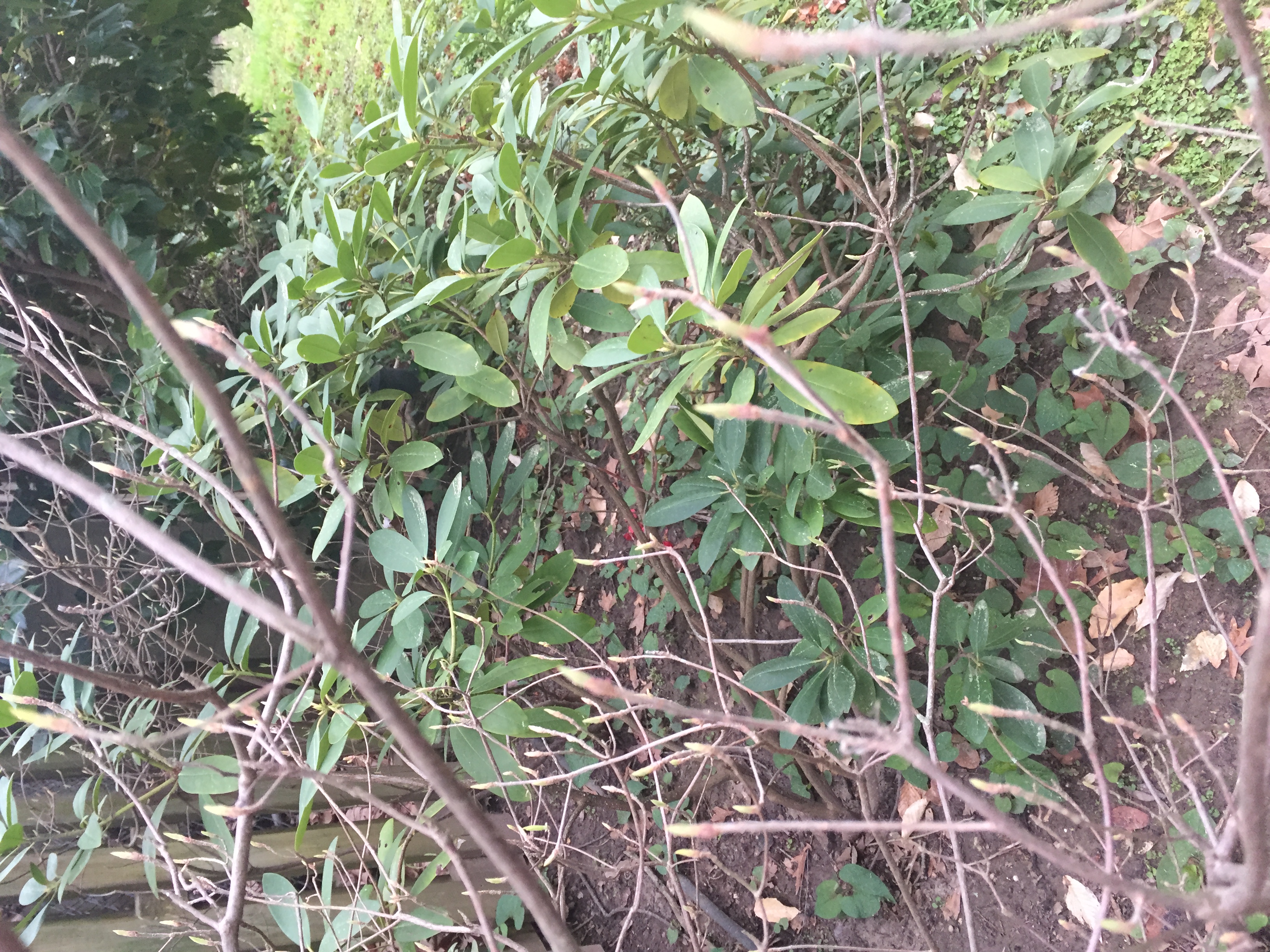 26700F9B-773E-47A1-B6C0-6FC70892F1E3