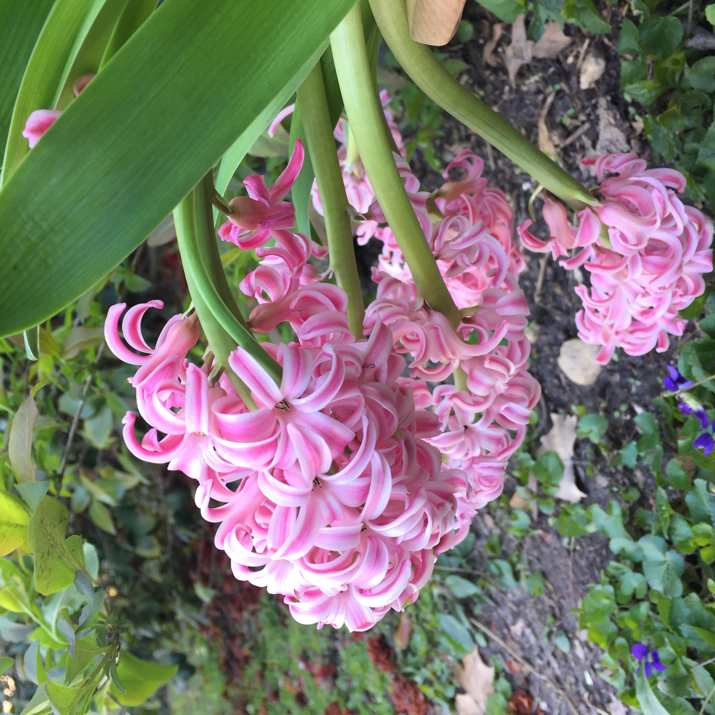 40C0044C-E70D-4D45-9951-67DC48391C7A