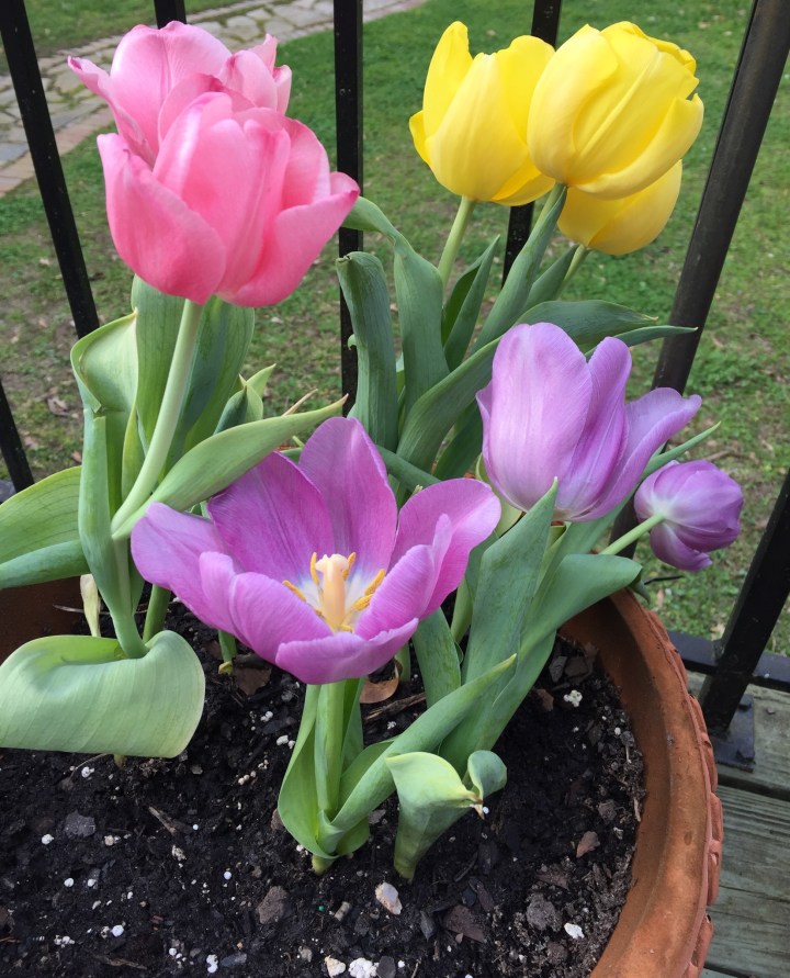 67E7864D-4524-4CF0-A2CF-243305C9BA3F