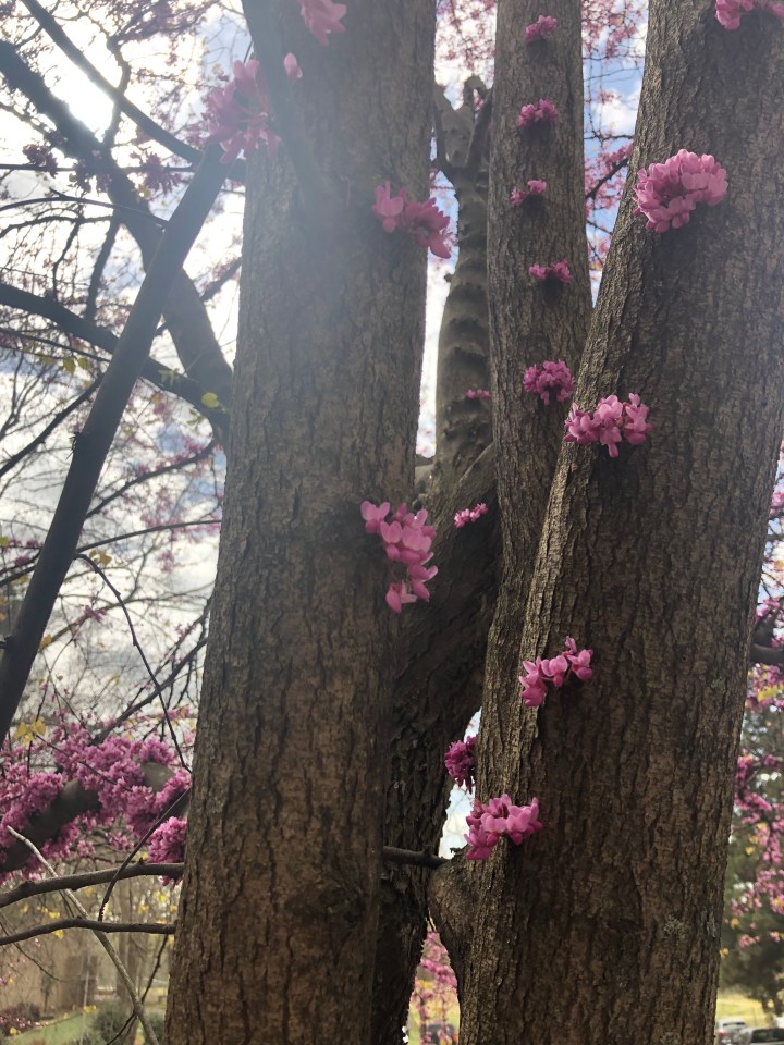 79204A7B-8E93-47A7-93AF-0C8DB4921346