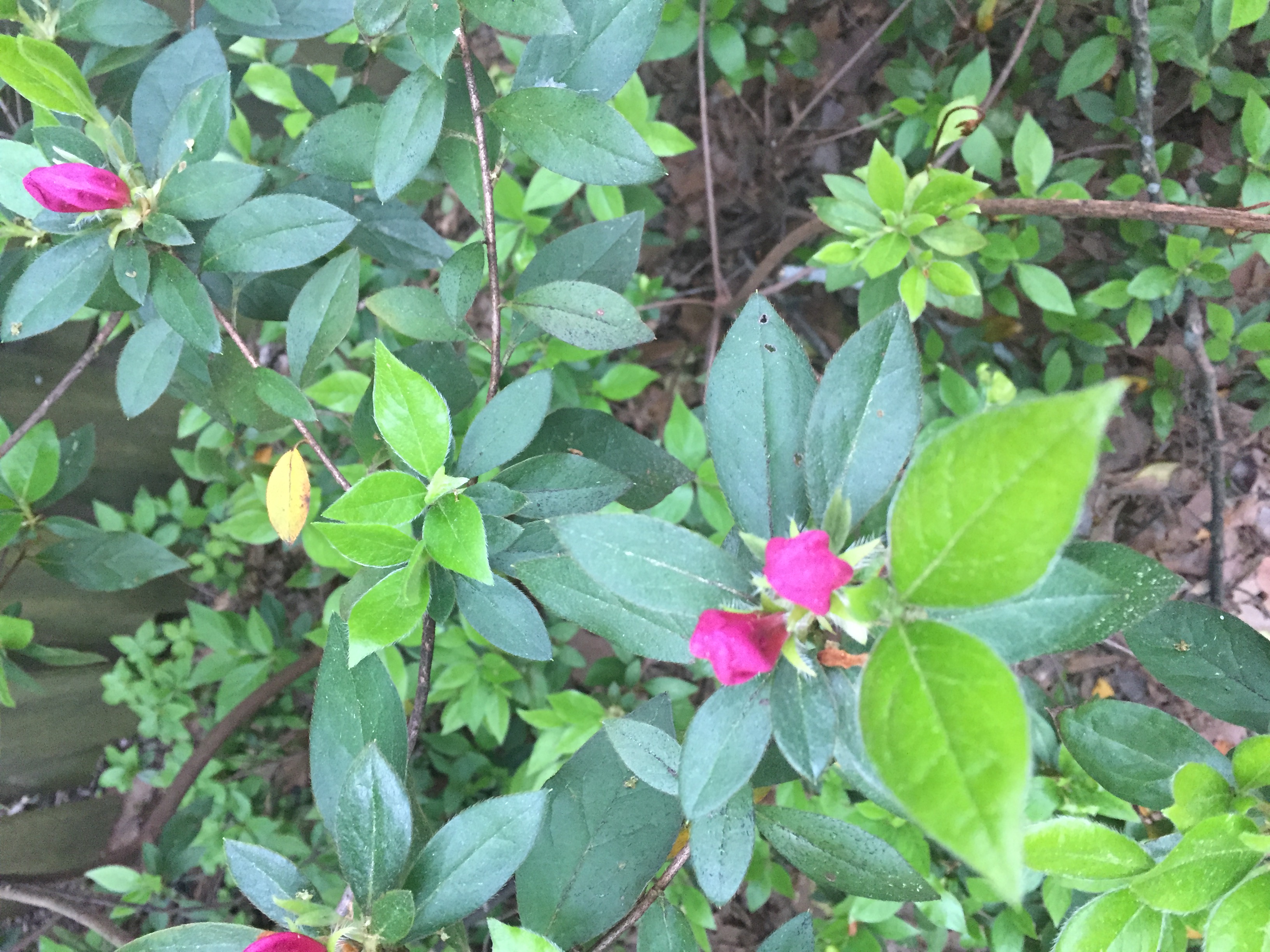 A00AEC70-2045-4810-817F-3E28D0C8A636