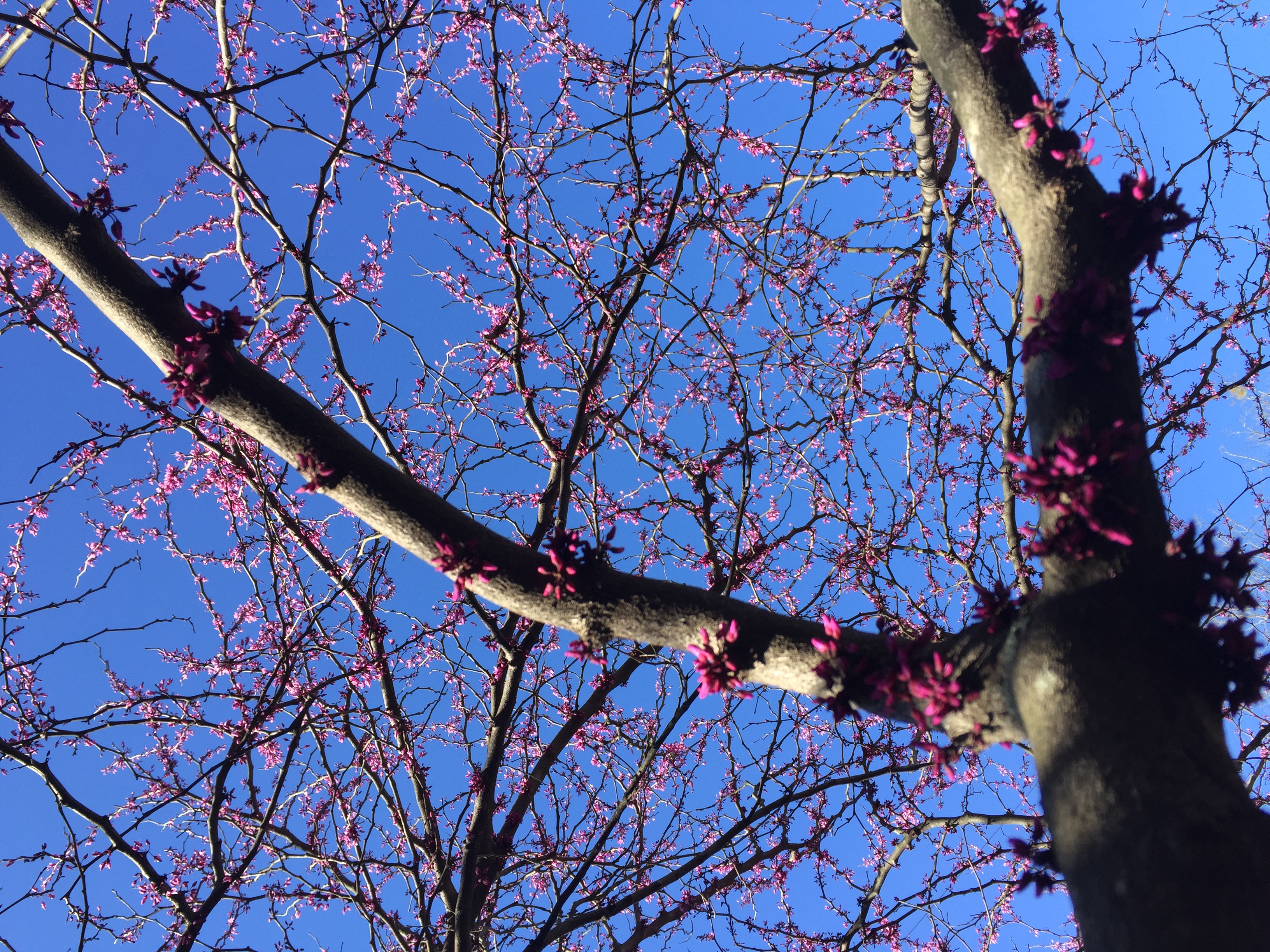 B43986ED-2B55-4BD6-9D74-AF389C83A3C7