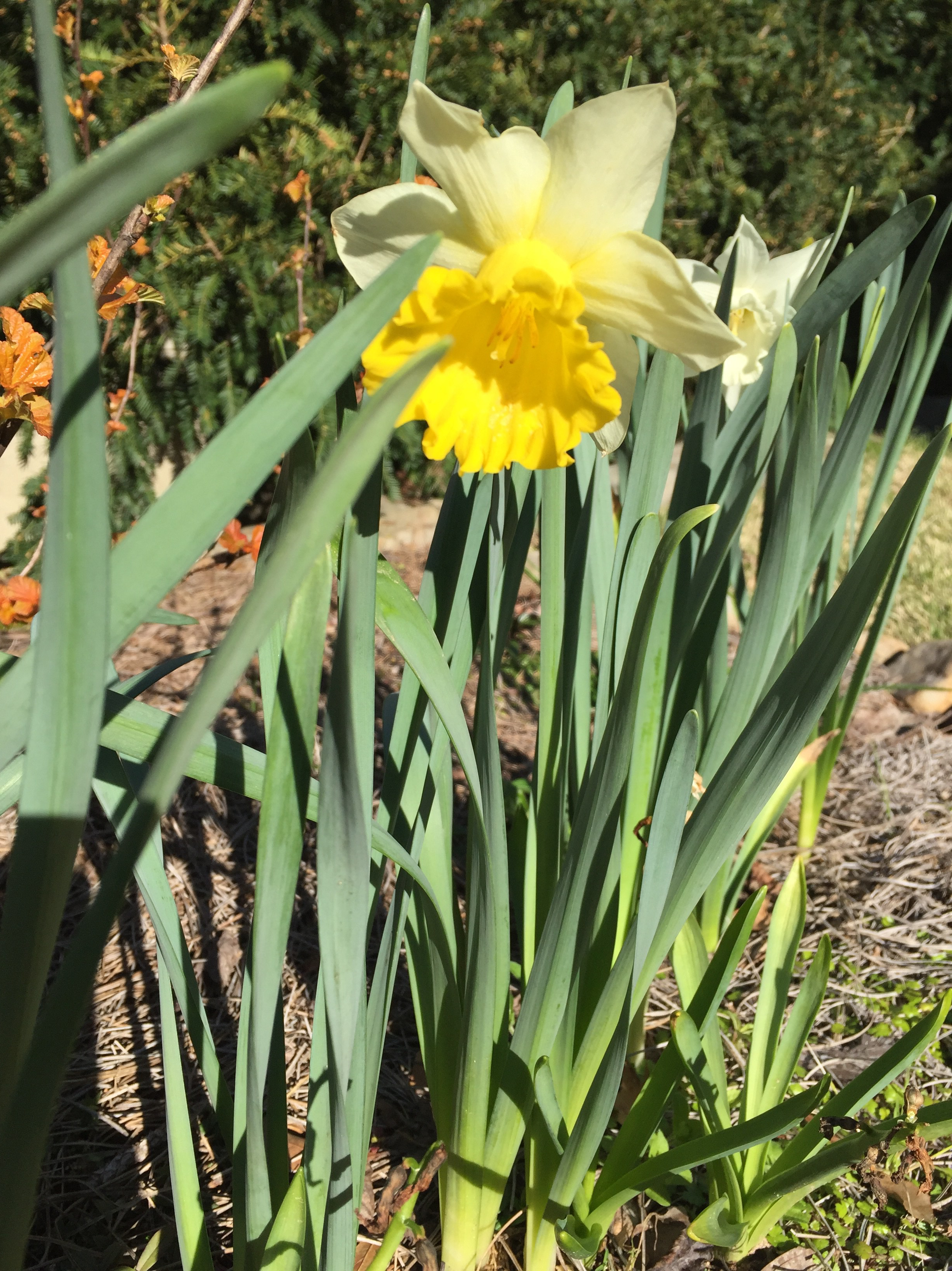 BC2C955F-ECE0-4F8A-B0F4-5F92F76B08F0