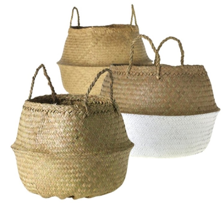 E55AD466-CBC0-4418-B79A-12BC64BD65AD