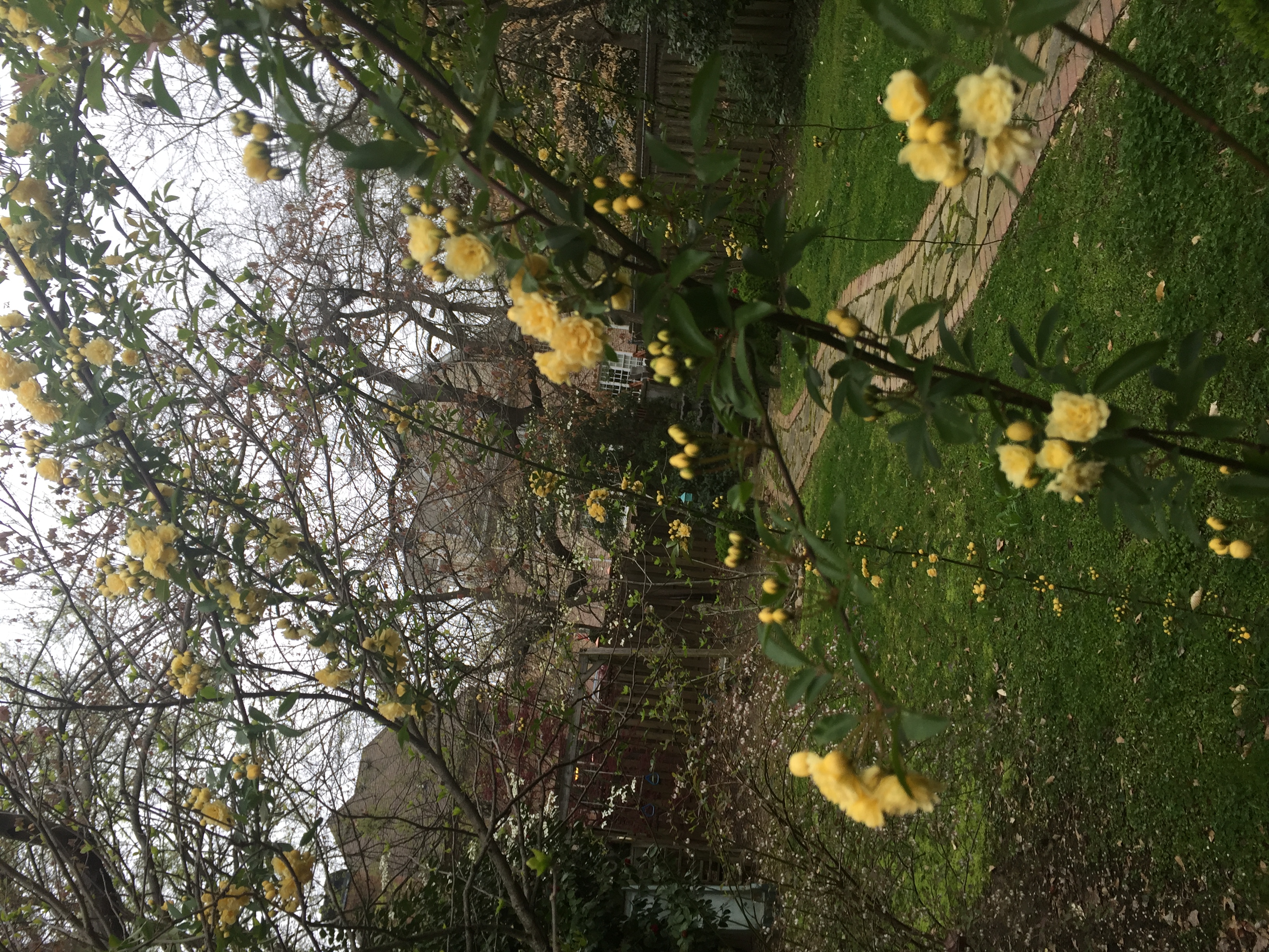 E70B4780-291B-4B5E-A510-444B4B37557A