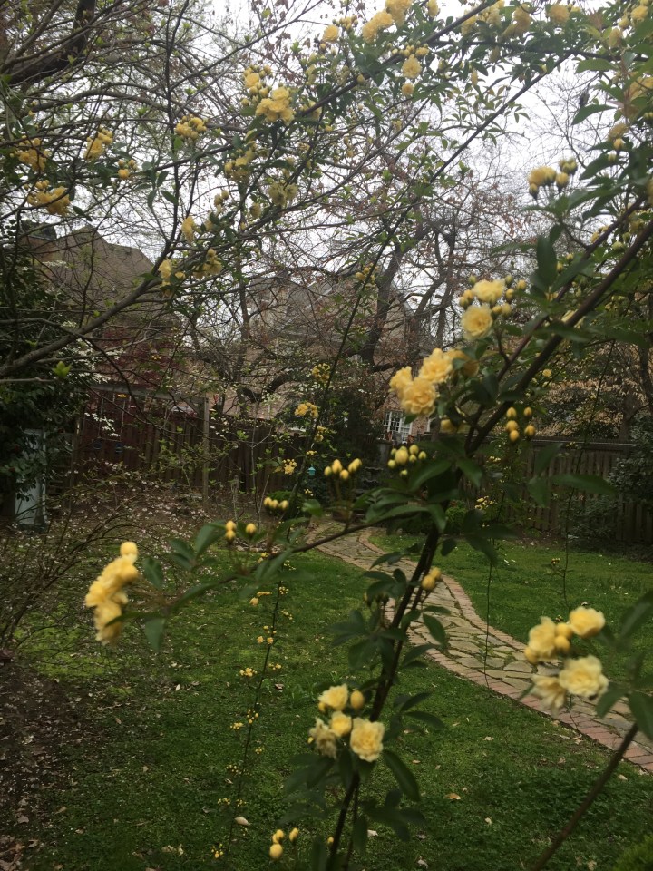 E70B4780-291B-4B5E-A510-444B4B37557A