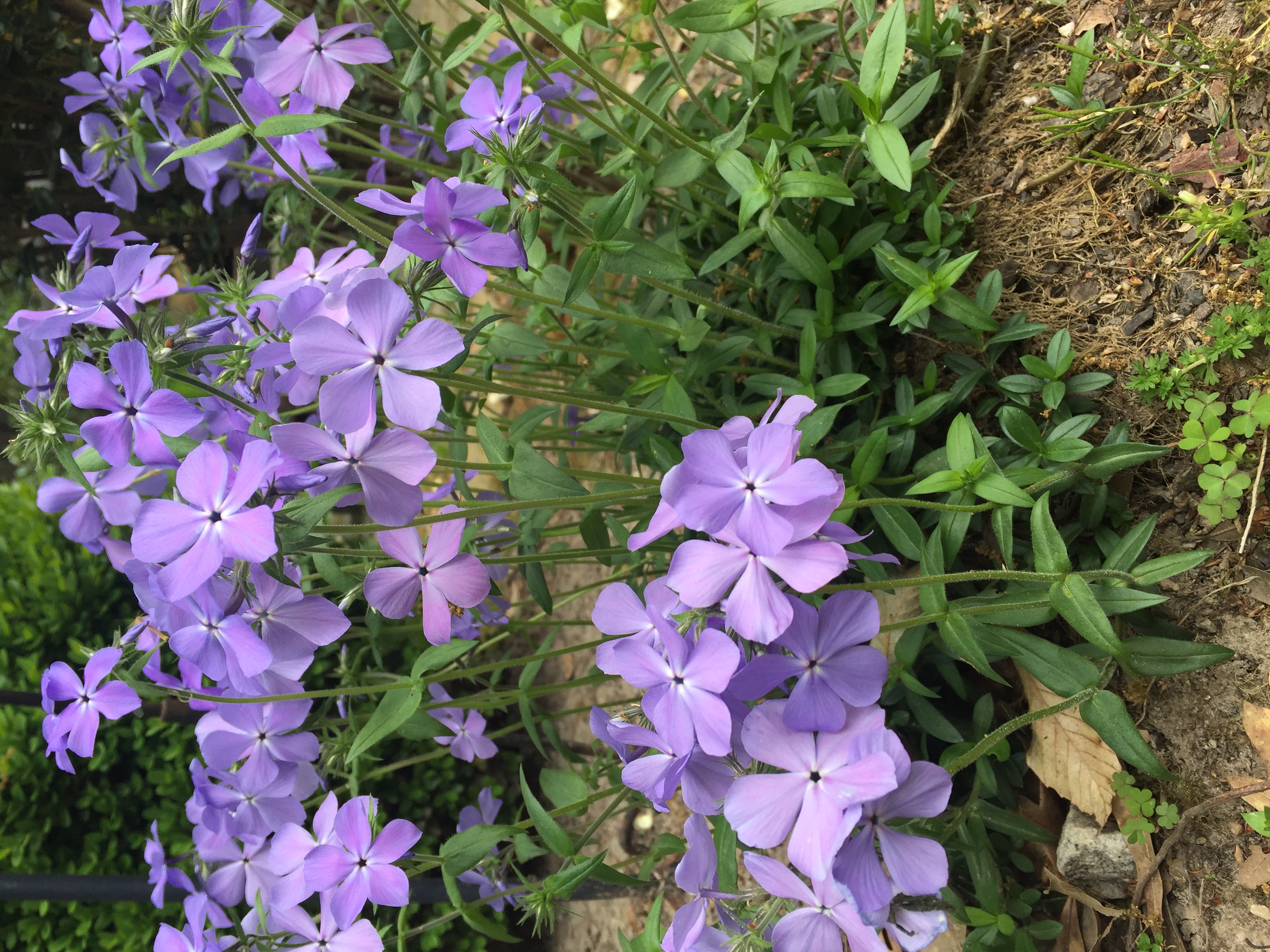 01C2367E-4EBF-4A93-BC49-1B7FA264CC69