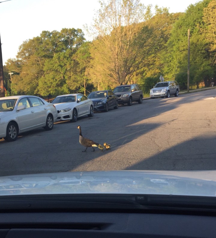 C31DF897-A907-4EC1-A19E-A5879D5C1753