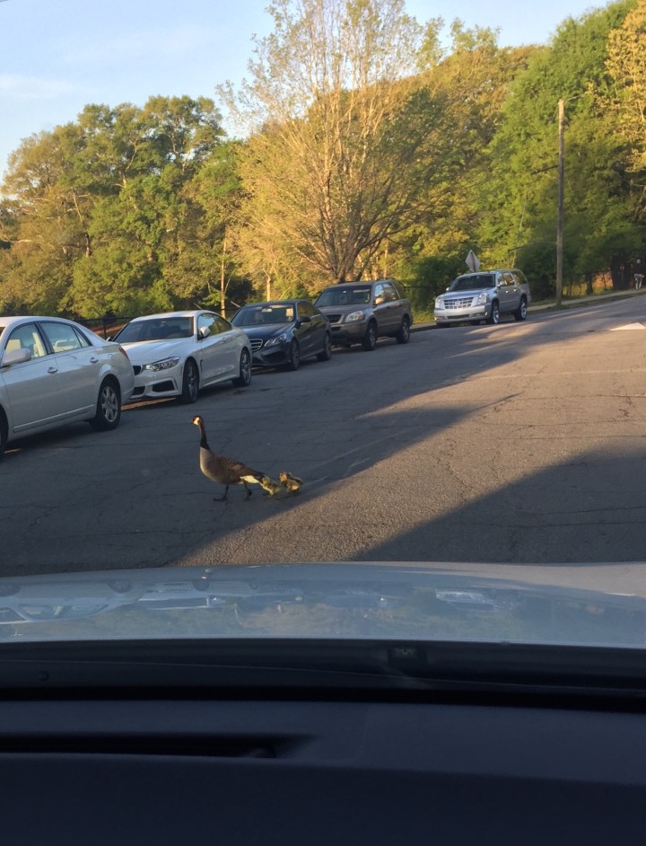 C50378C0-7466-45BD-8DA2-7EF15C2F1261