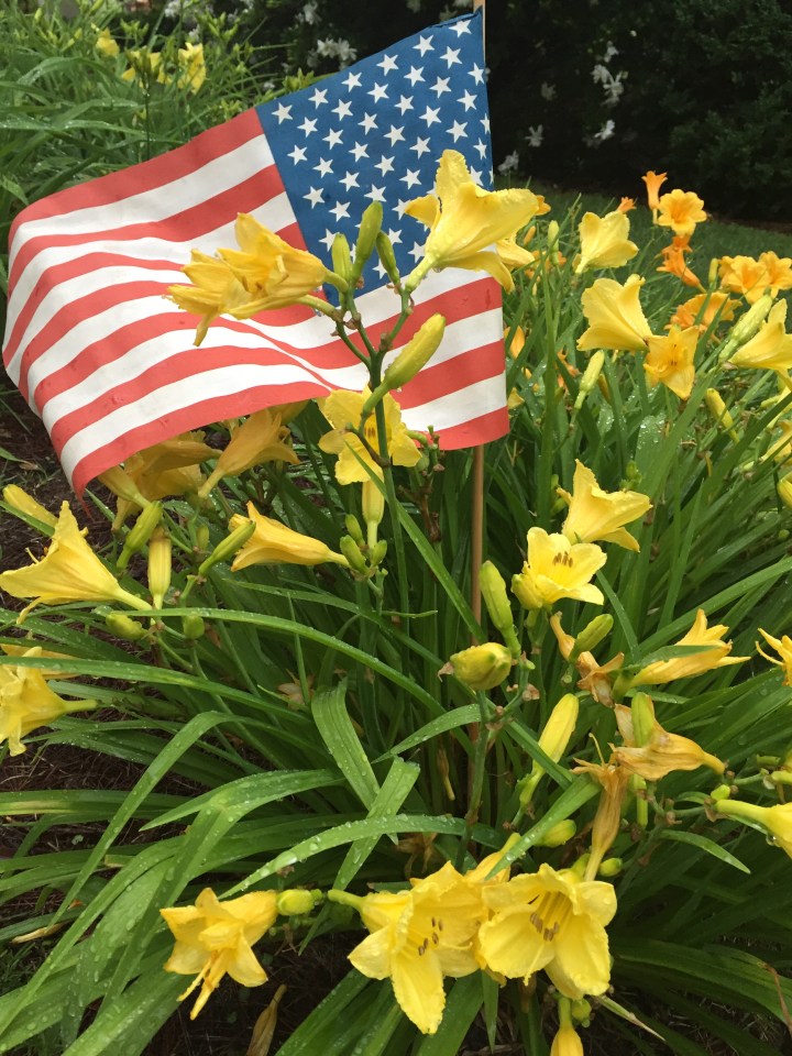 11B68536-B3AE-43FF-BDA8-2D593D8E66C3