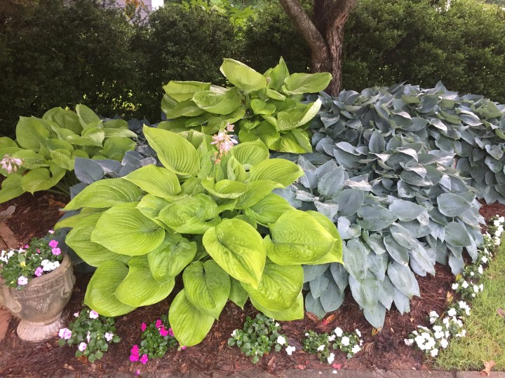 2D415893-9062-40F3-A6D7-55A2A2ABFE99