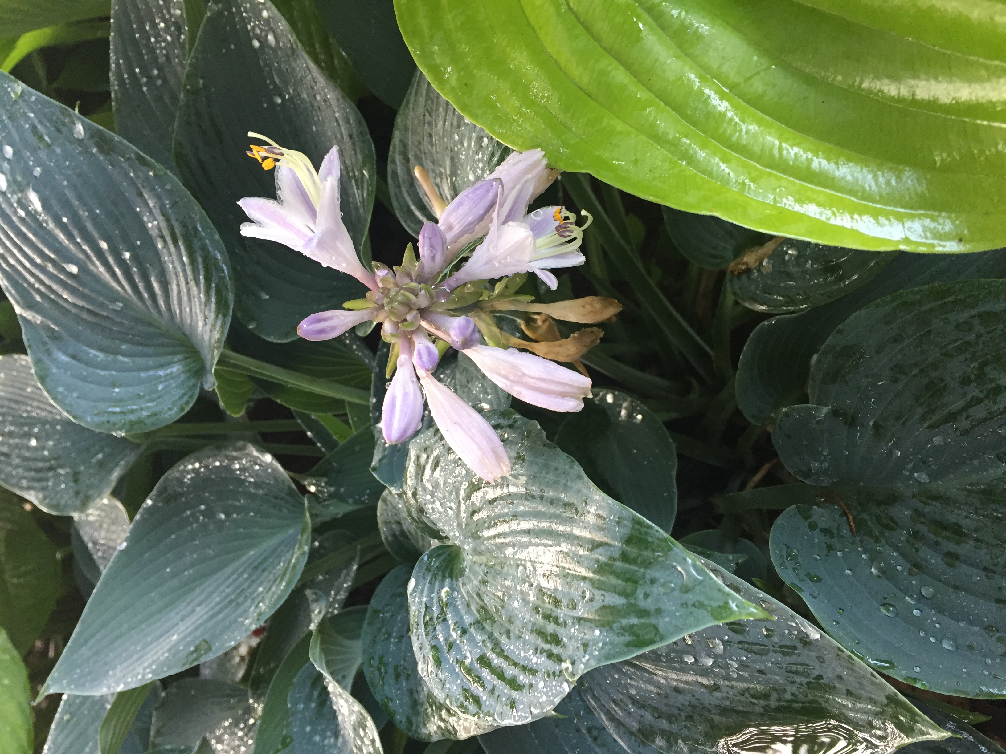 BC1B464A-A830-482A-BB41-D306D66FC71D