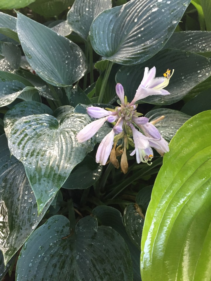 BC1B464A-A830-482A-BB41-D306D66FC71D