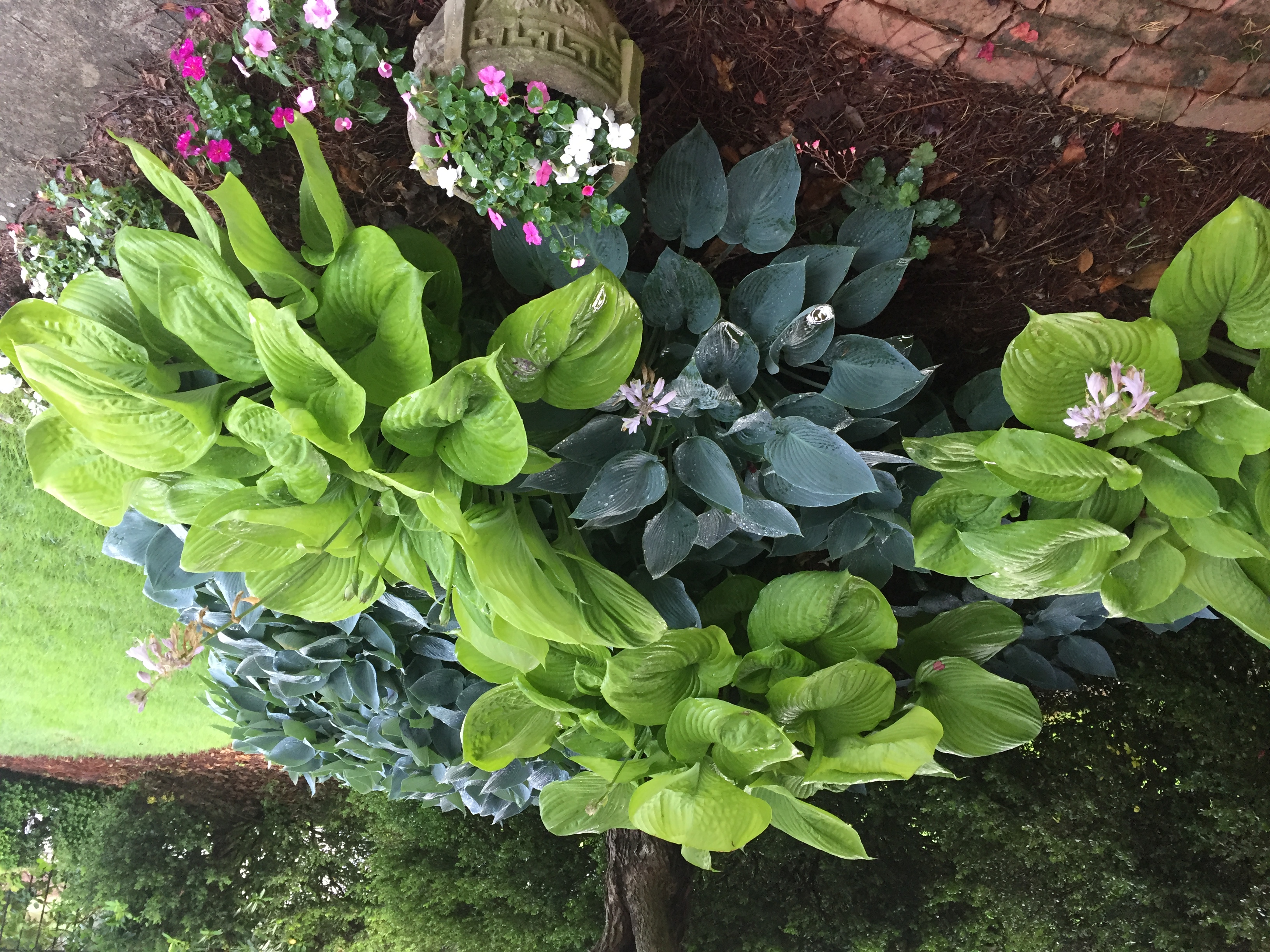 BDE84015-060F-4A85-8253-5B986D801C85