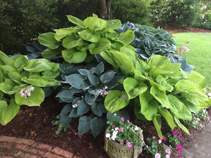 BDE84015-060F-4A85-8253-5B986D801C85