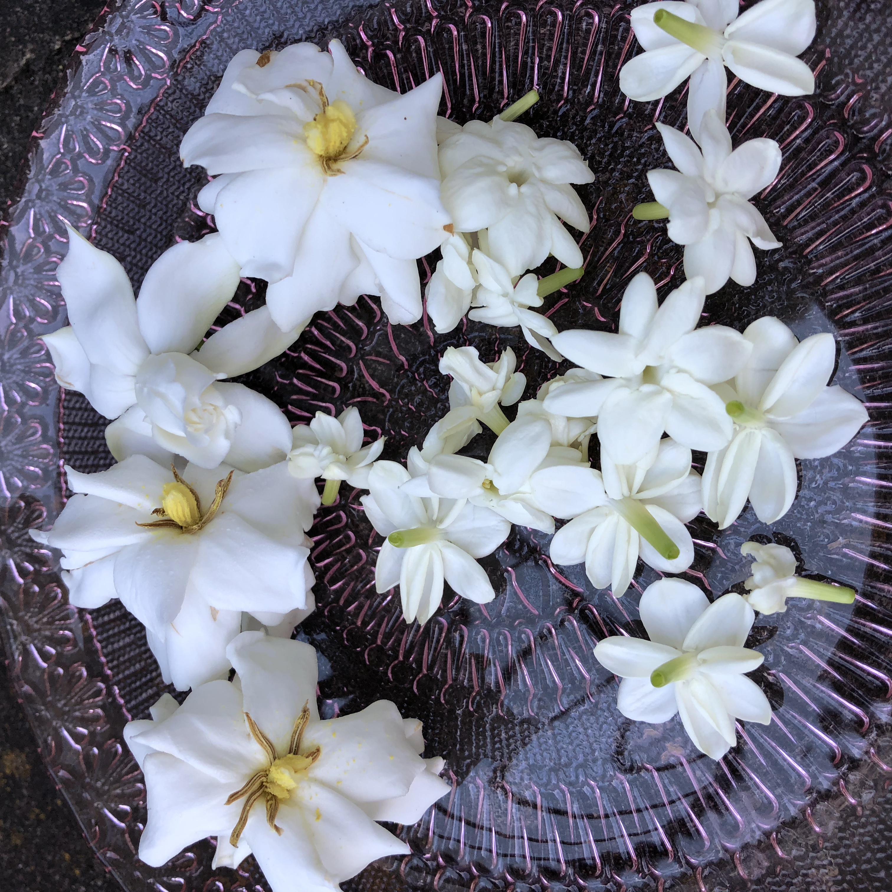 20657F6E-2286-4D24-BF4C-B81CBBFE294A