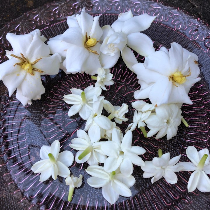 20657F6E-2286-4D24-BF4C-B81CBBFE294A