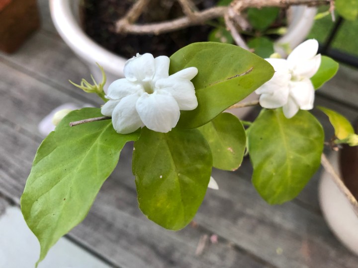 39D029BB-F247-4AFA-BB41-696D109A60C1