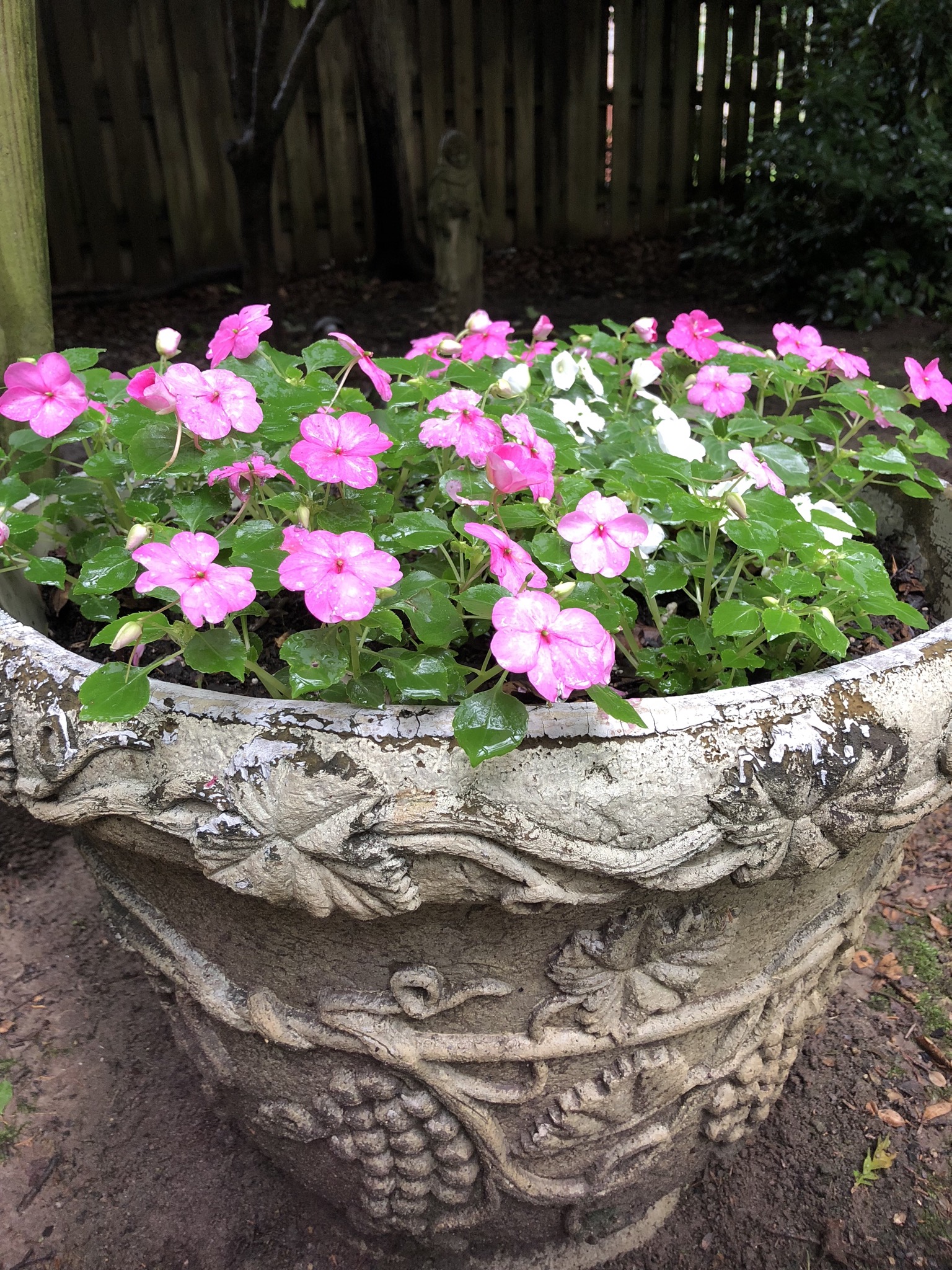 4955E611-C60D-4C0C-98FD-833EE9A49614