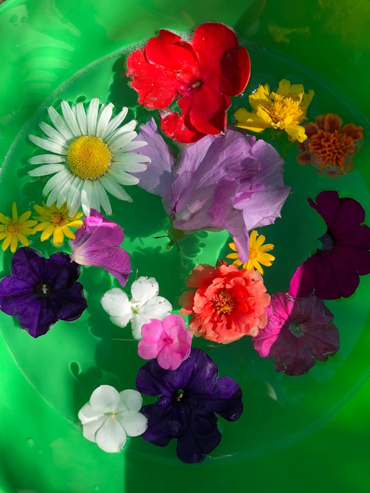 6B52E72F-7E08-4D3B-8BE0-9875BBAC1A17