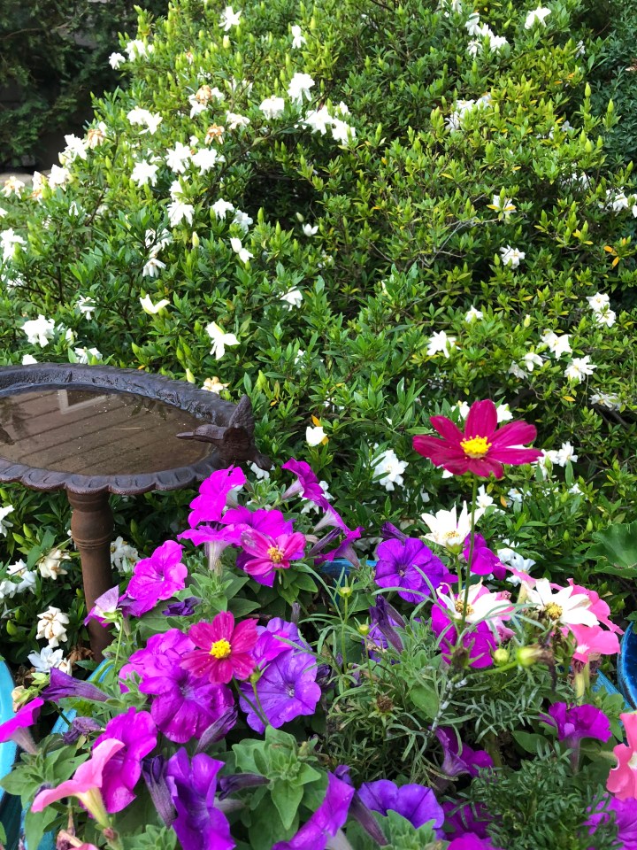 C09FAE37-3831-4005-982C-3B67C7B32EE5