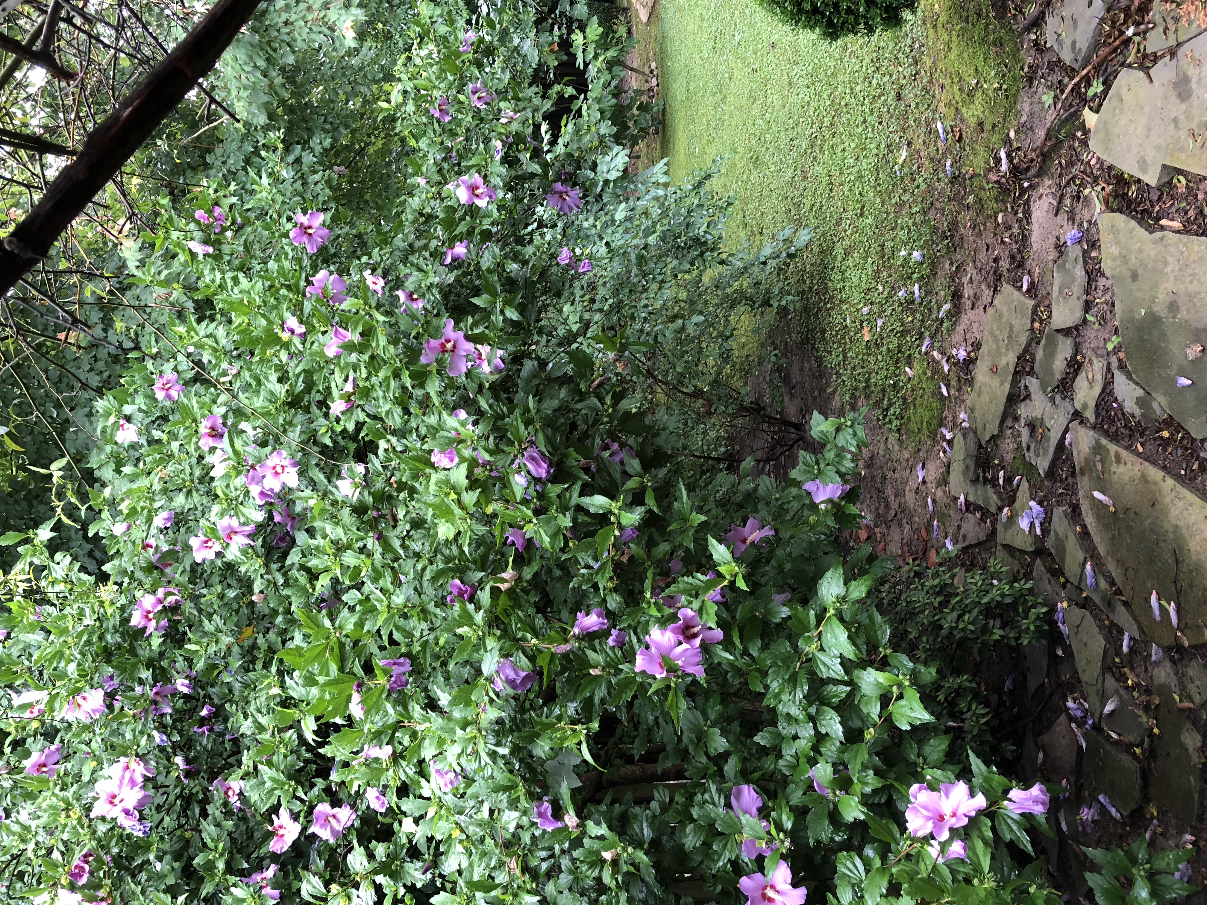 CD53CFE7-E5CE-4616-A0BD-C908549E065C