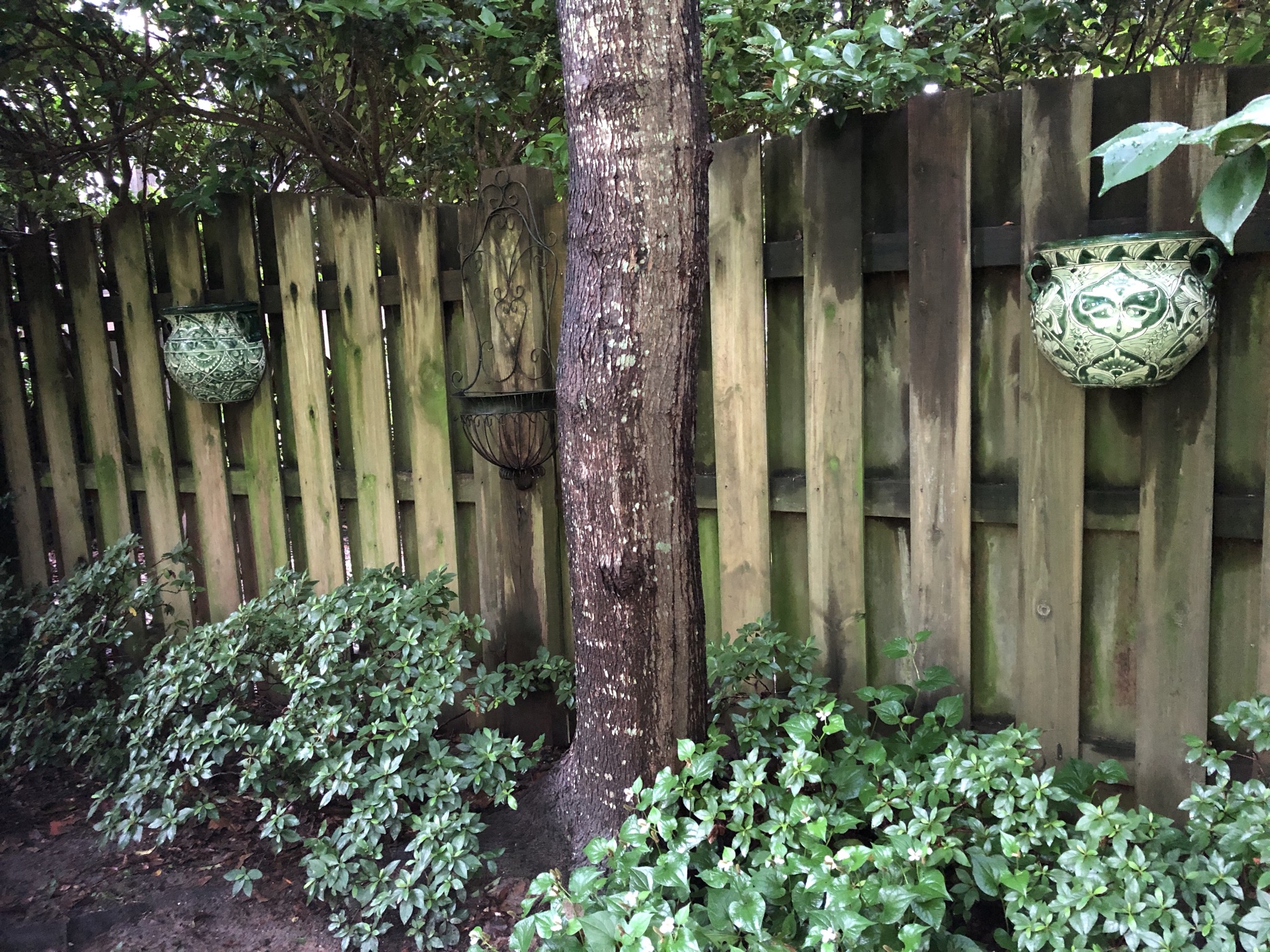 DE260FC4-A135-482B-A4BE-536DADB15F75