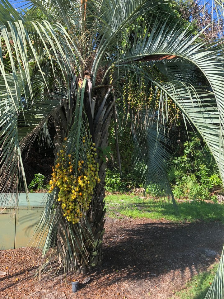 034EC93A-0F53-4CDF-9085-06AB7D44BF96