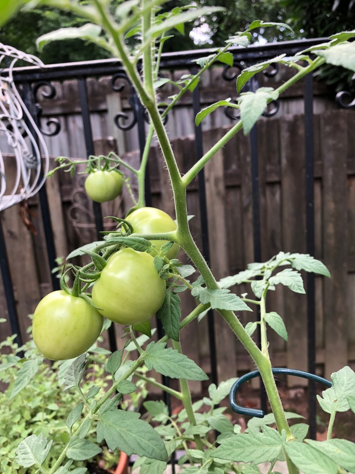 74AFF621-FC3A-41DB-9631-BC44C9AD8A6A