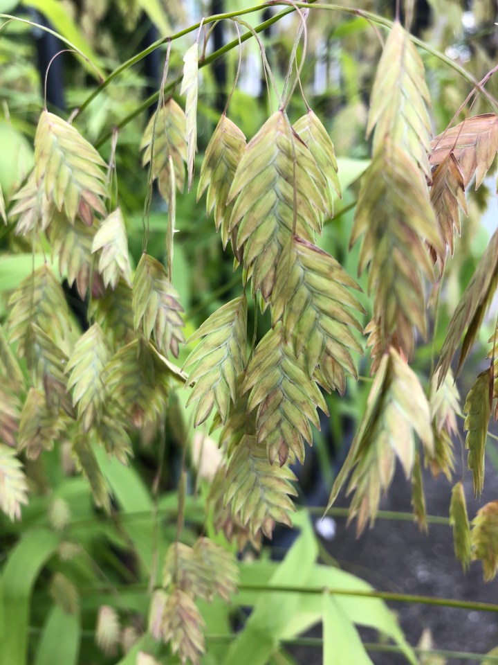 A26D4D15-1346-4DAC-8BDA-F8C993430E20