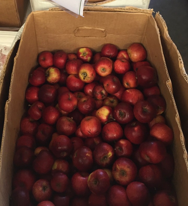 CA28DC53-FDFE-4C51-A311-08178FC8B64A