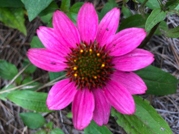 DD7A0FED-C05A-4CE7-9C5D-28AEF659E51A