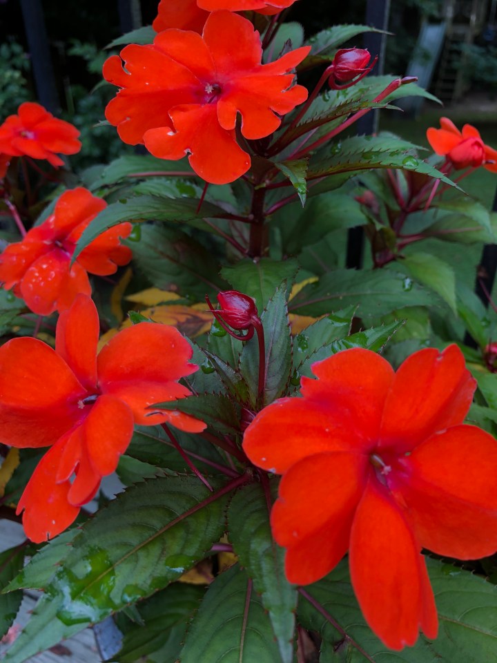 DDCF87BF-4685-4947-B318-7C5BFEB502B0