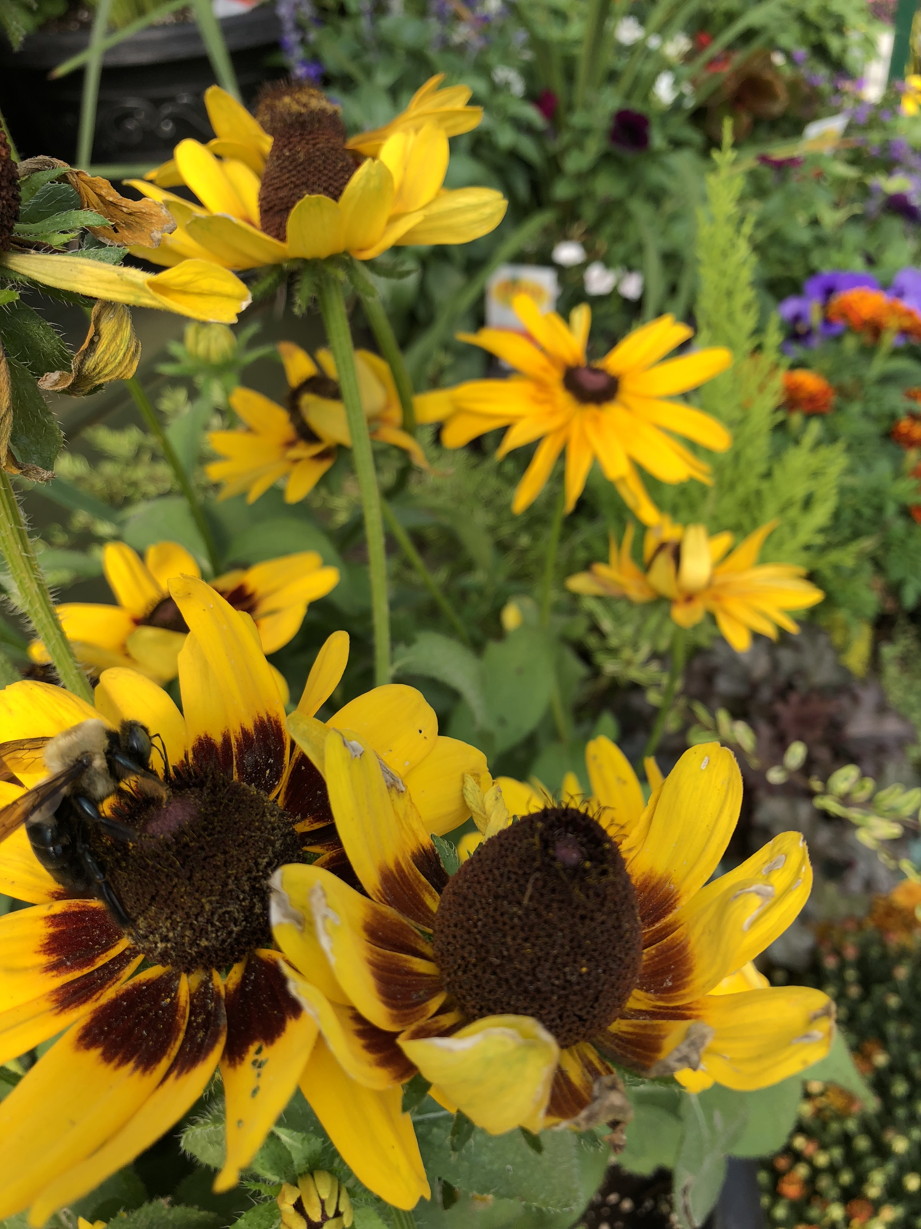 1BCAFD9D-AAA1-4467-94B0-84982D7F772B