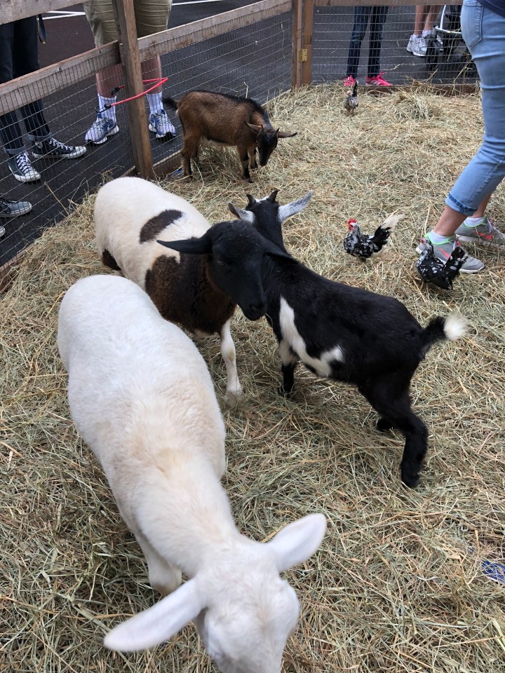 1FA72152-BE49-491A-B756-7AAF0271F09E