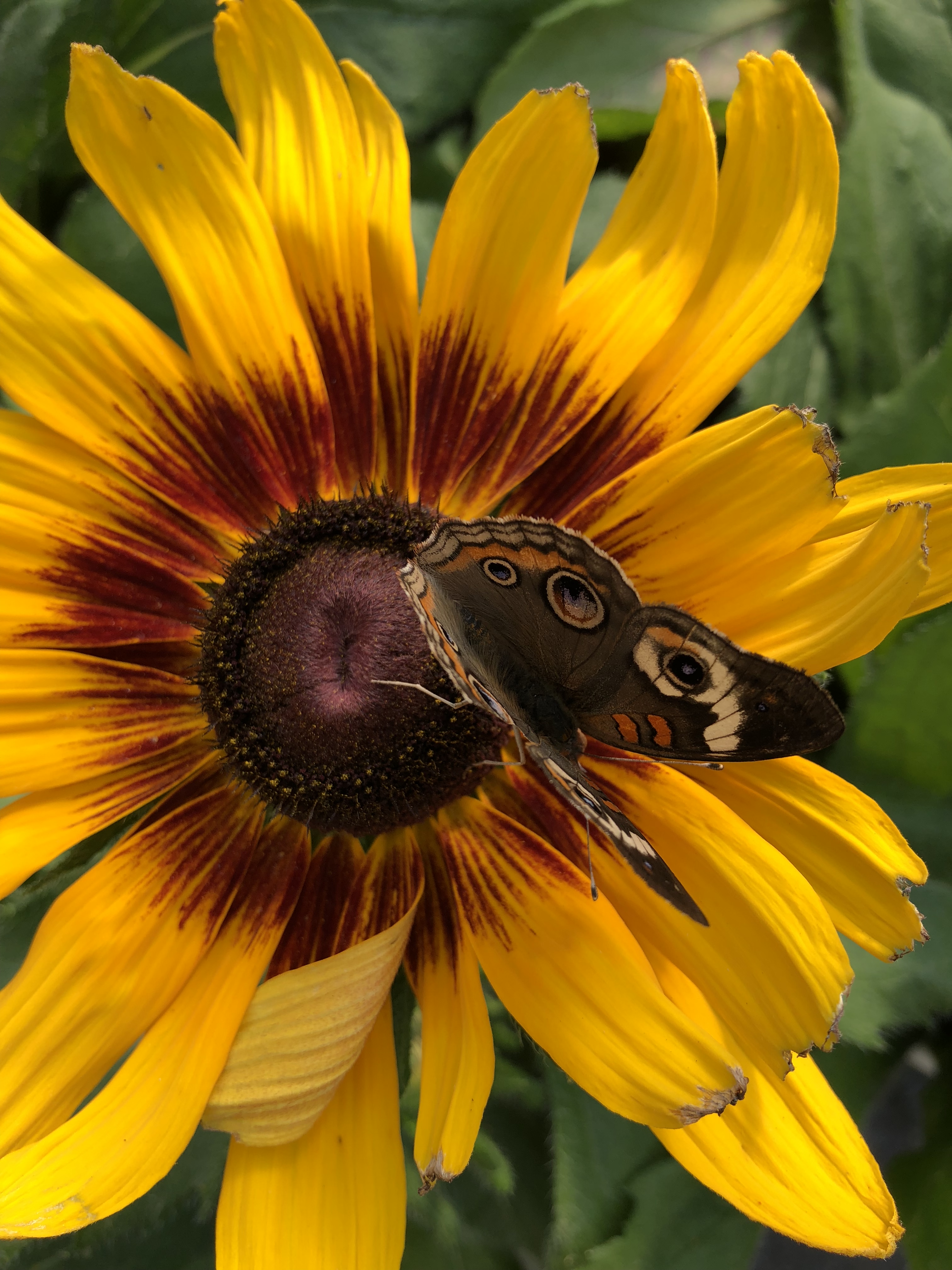 209458AE-DB58-4C2C-95FD-E51F3D4509C9