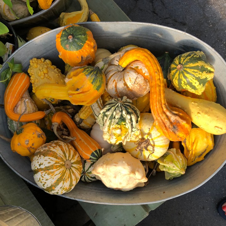 26B81A84-80B9-4932-A4E1-3580CBB40801