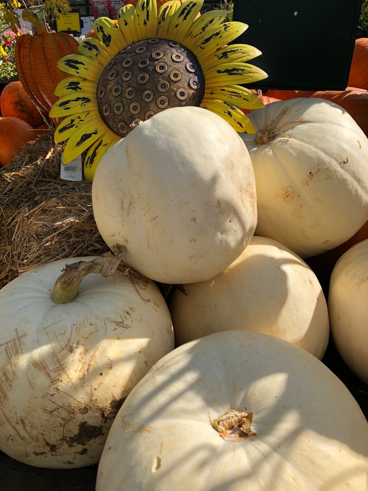 3A343F3F-20CE-42CF-9CD6-2C415B7DD024