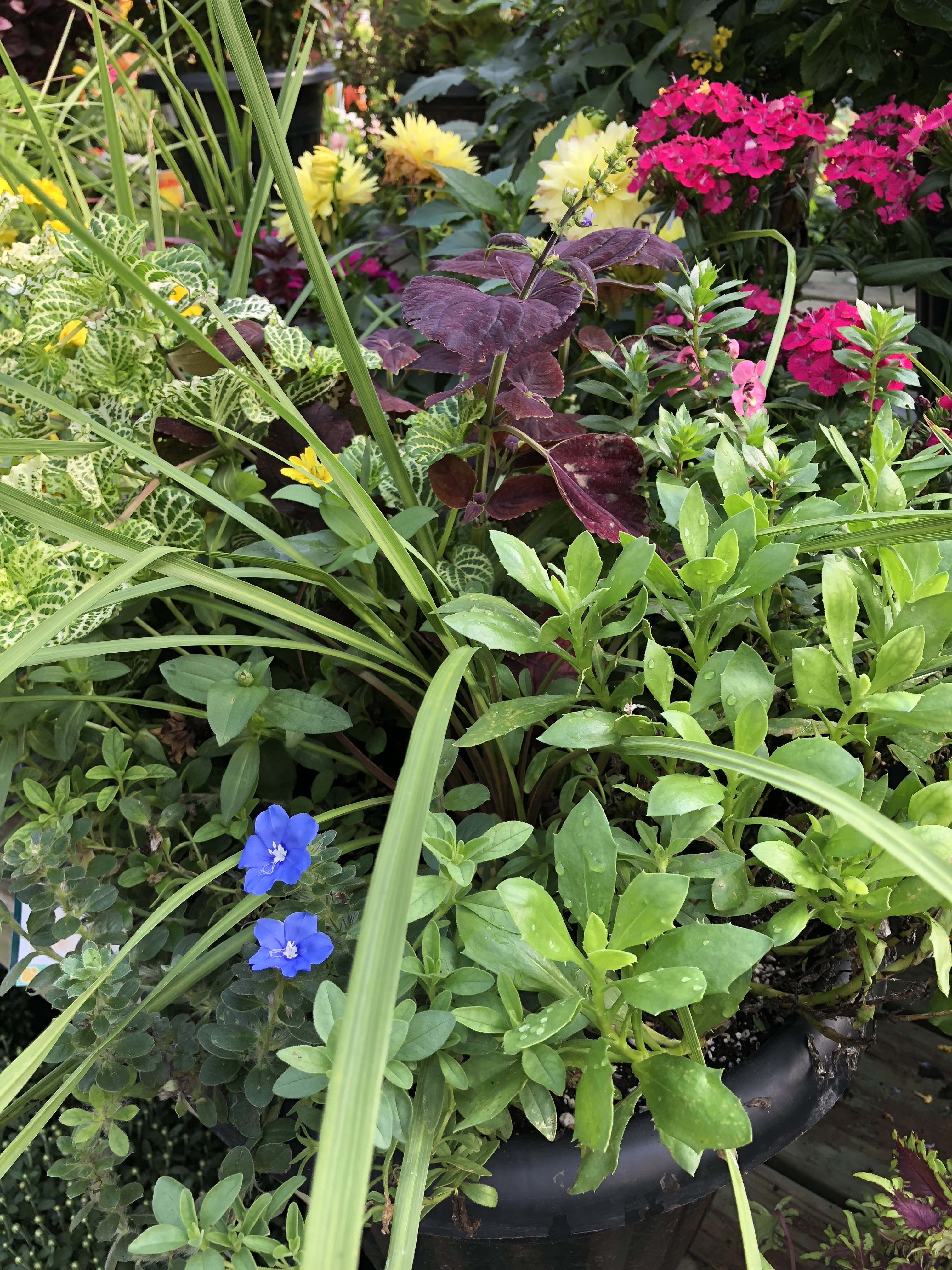 3B892F2B-C545-46CE-817B-55CD2653077D