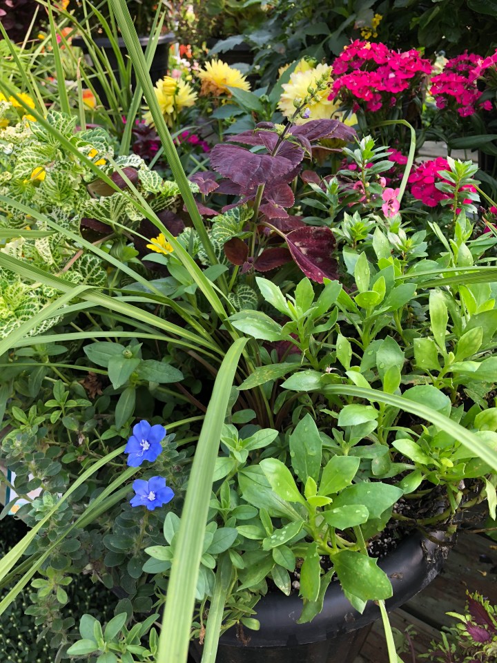 3B892F2B-C545-46CE-817B-55CD2653077D