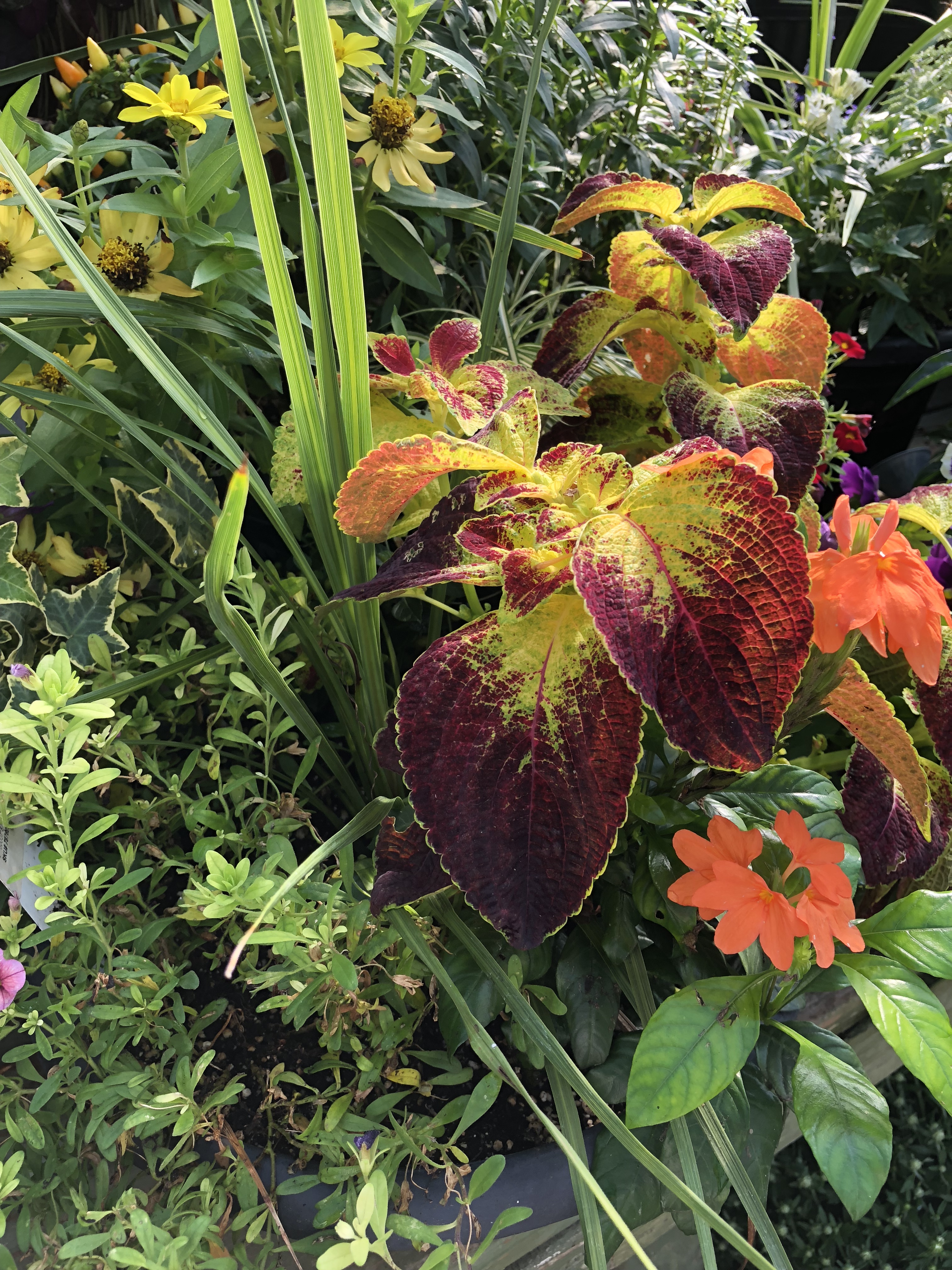 4C4C39A6-A739-4743-B774-1A0358B29B14