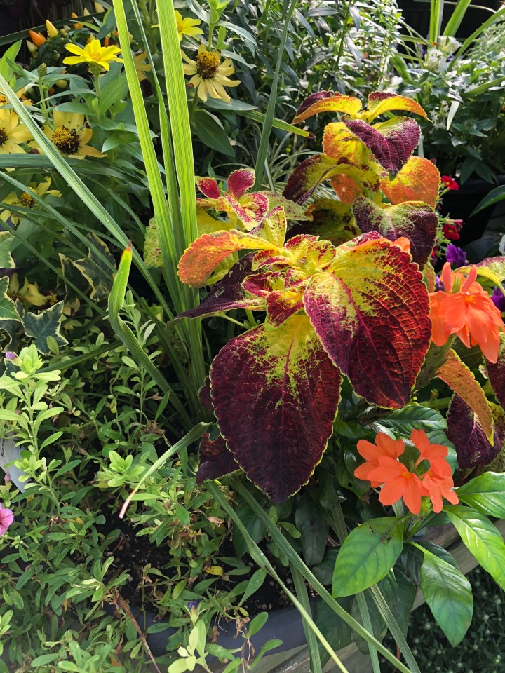 4C4C39A6-A739-4743-B774-1A0358B29B14