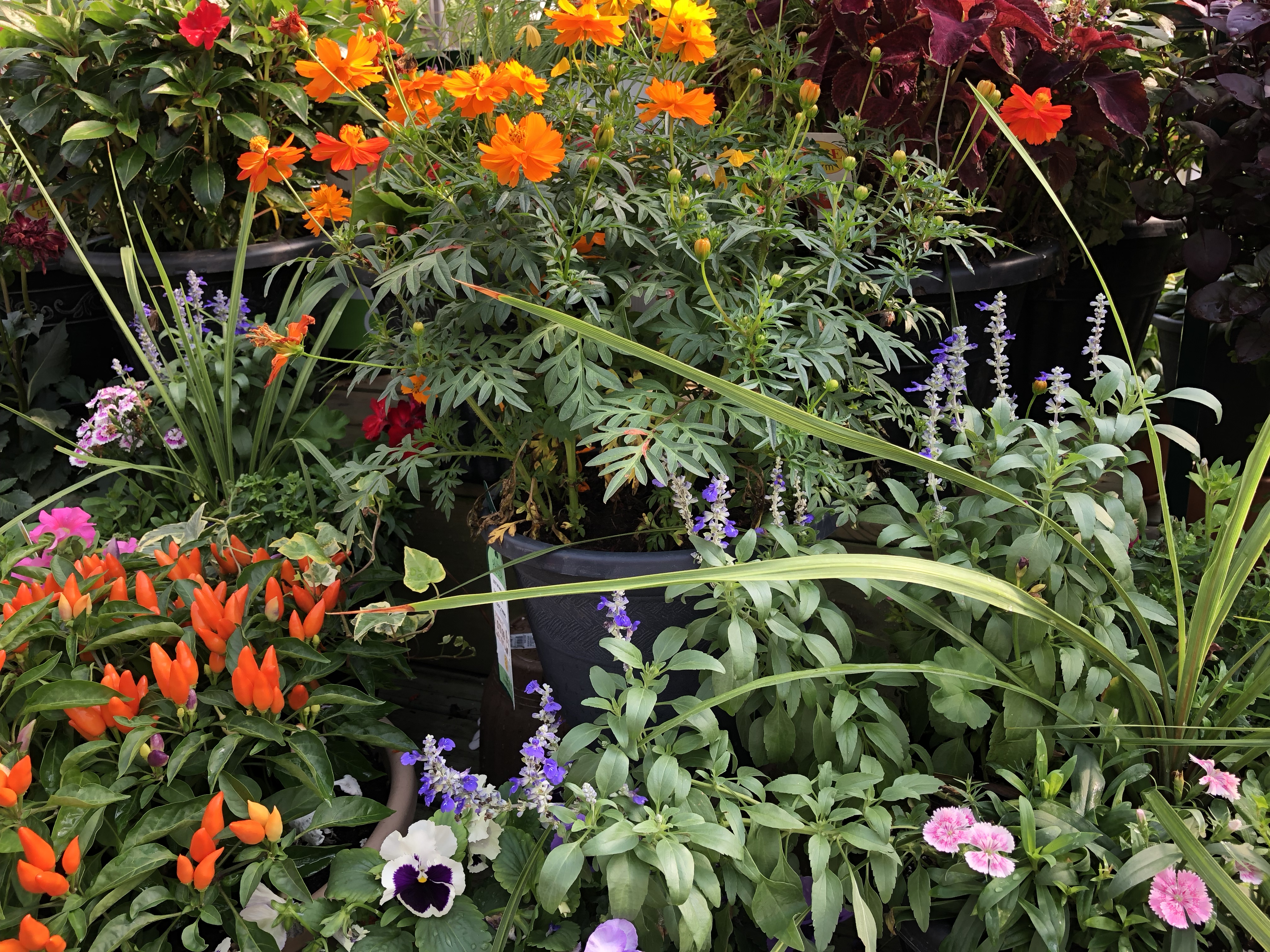 5607D73A-09F2-4B60-94AC-E19A15ADF8D5