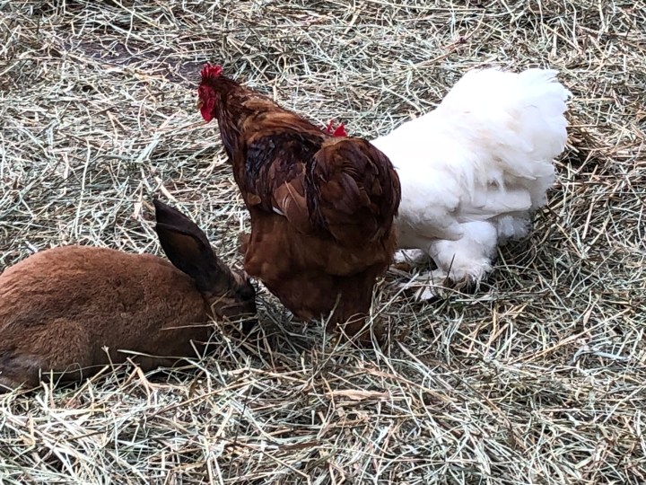 81C34AC4-71E9-4EF4-ACE3-F7B75F78D7D2