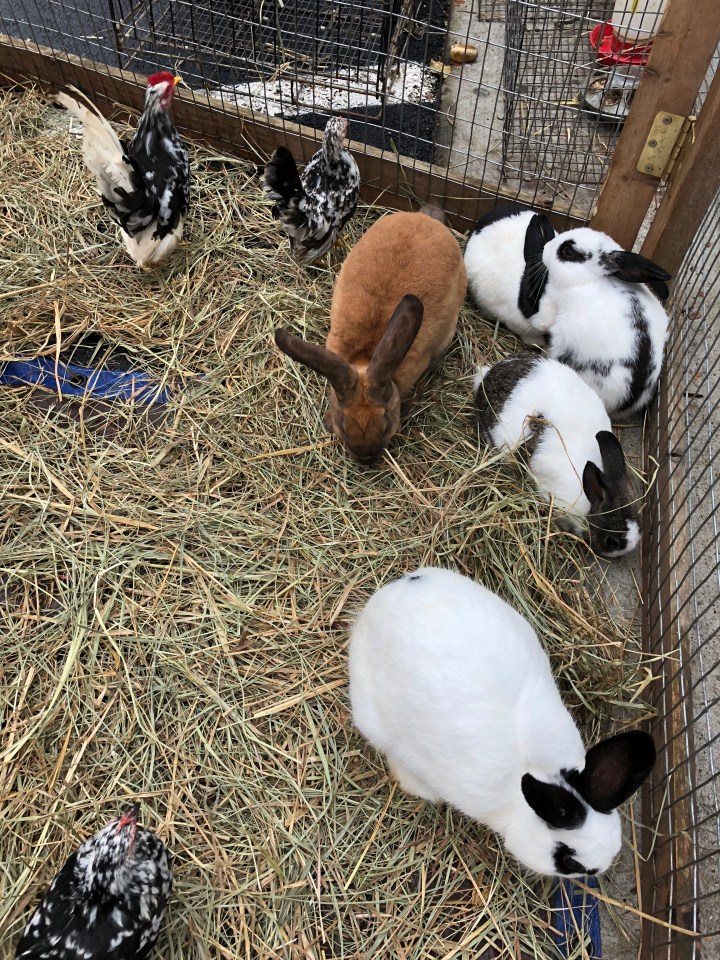 946608A1-8D7A-407E-81A9-79671EE10234